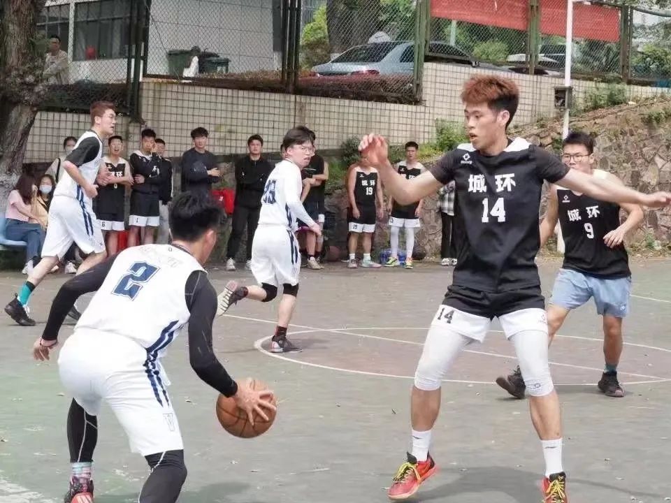 问鼎娱乐