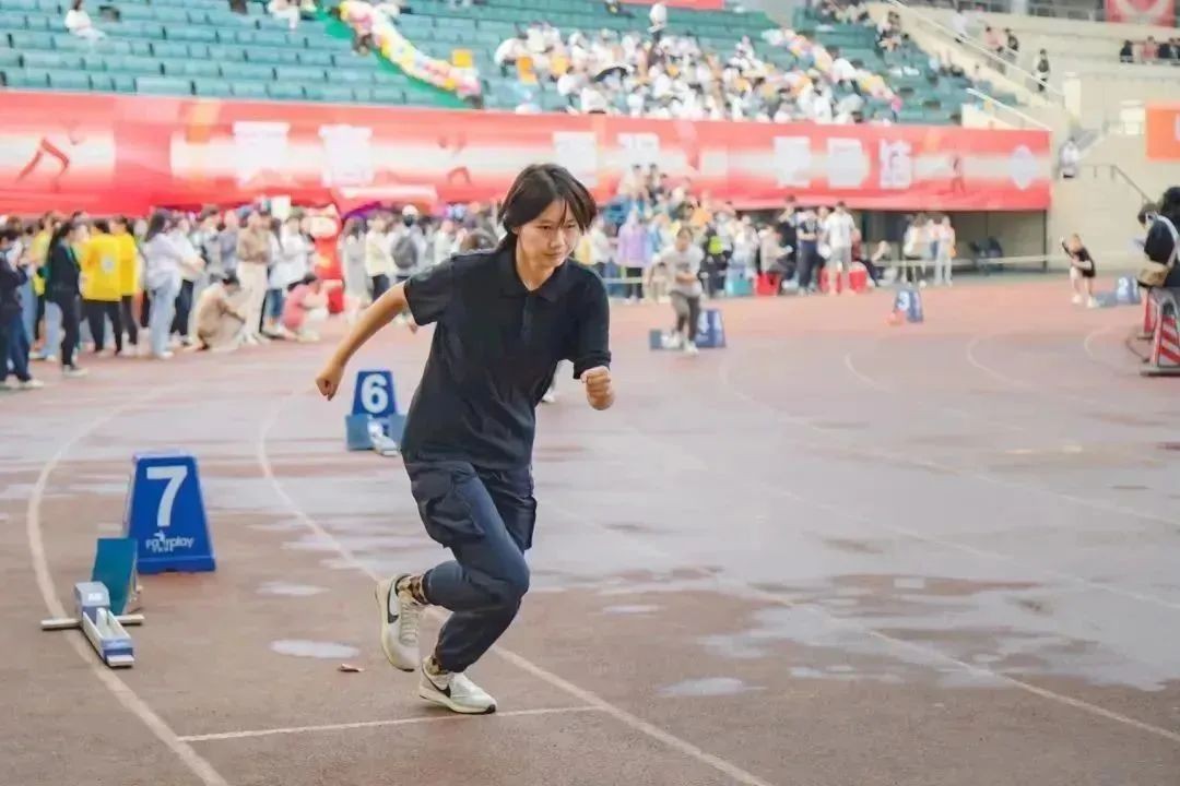 问鼎娱乐