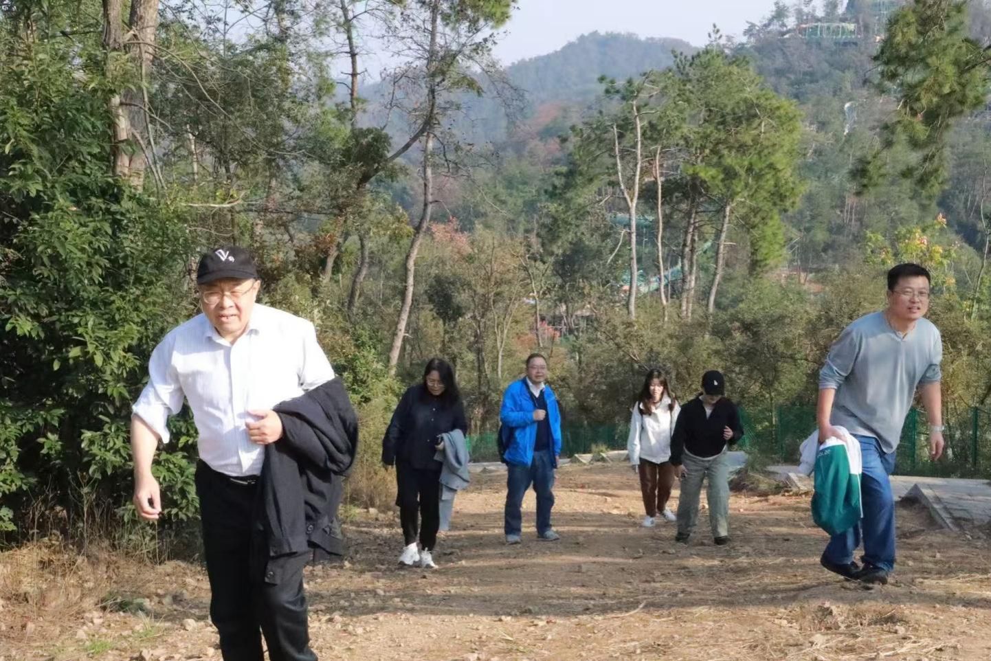 问鼎娱乐