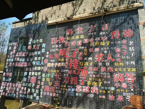 问鼎娱乐