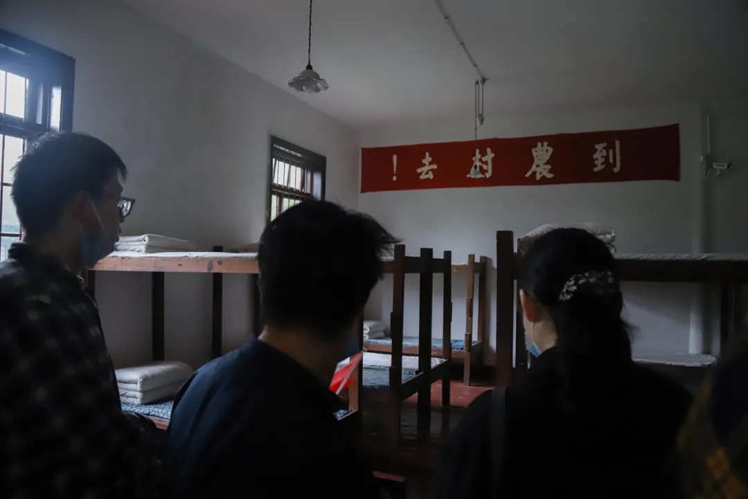 问鼎娱乐
