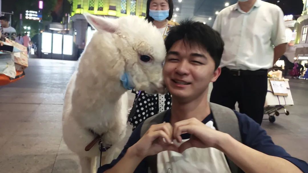 问鼎娱乐