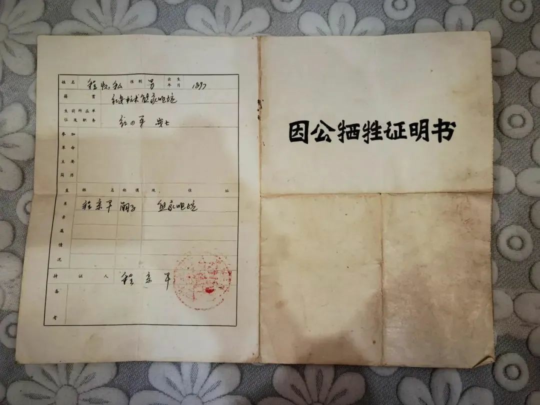 问鼎娱乐