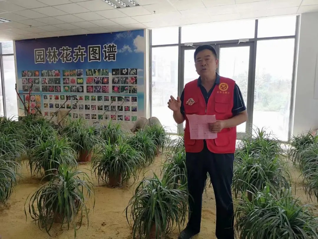 问鼎娱乐