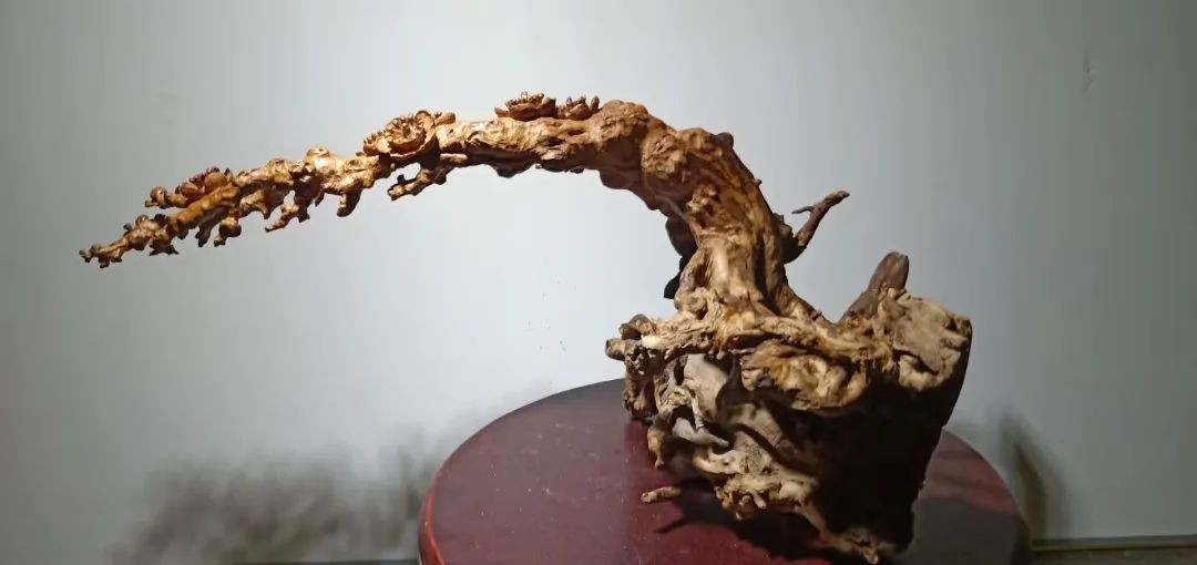 问鼎娱乐