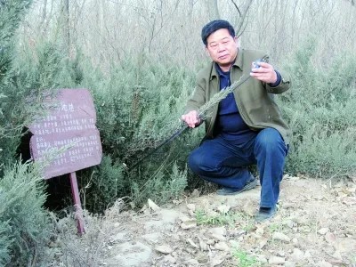 问鼎娱乐