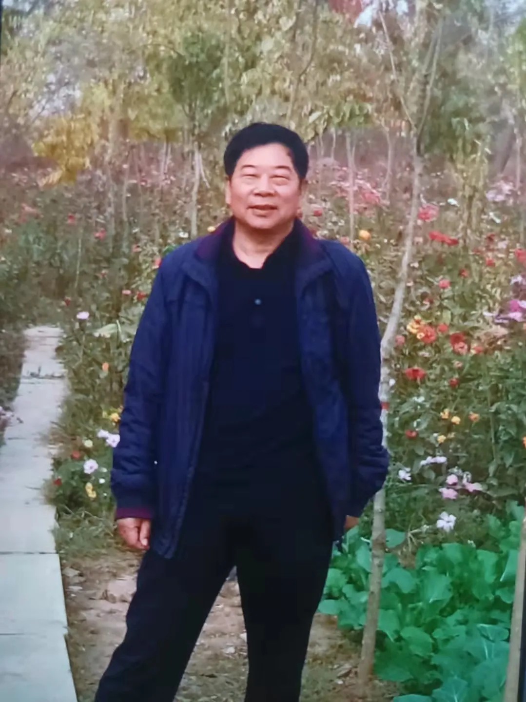 问鼎娱乐