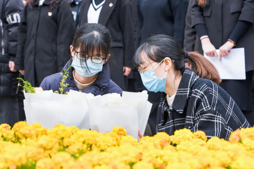 问鼎娱乐