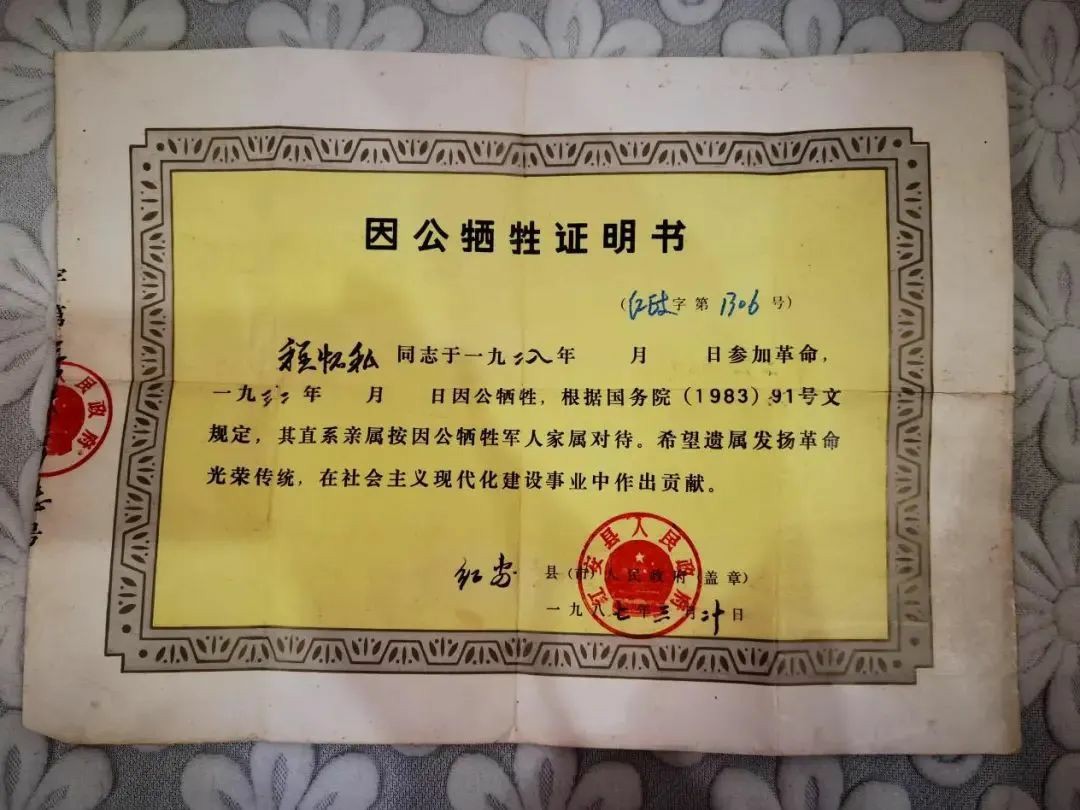 问鼎娱乐