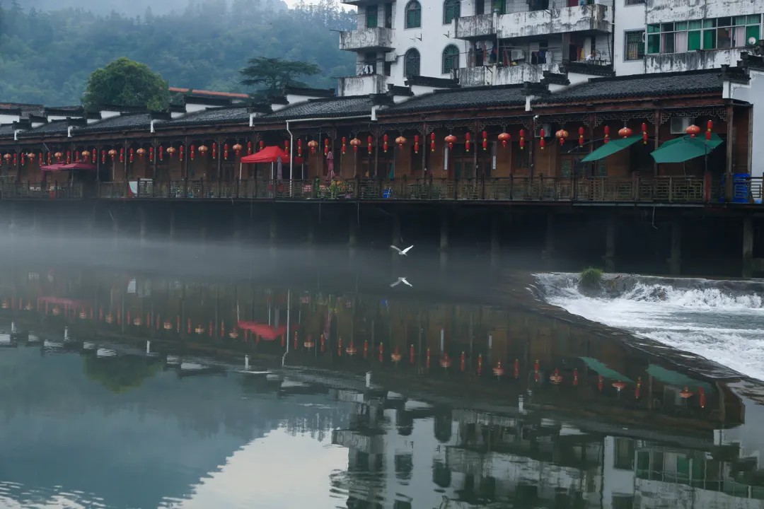 问鼎娱乐
