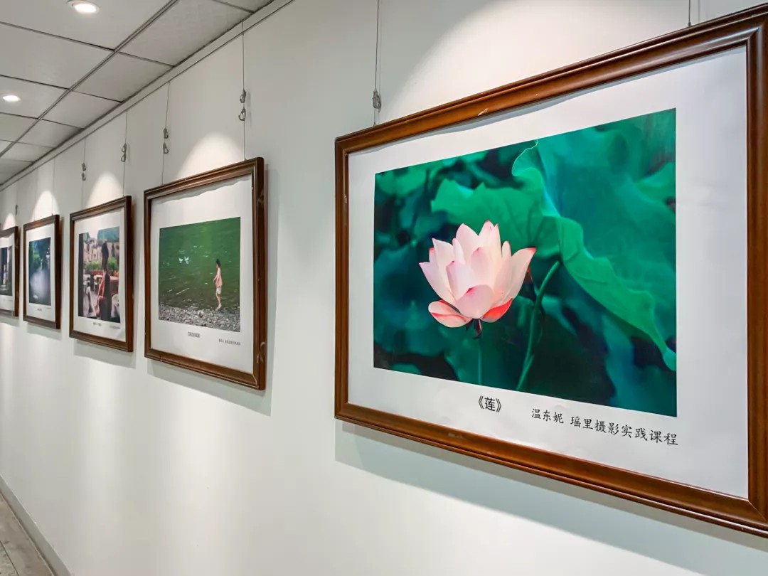 问鼎娱乐