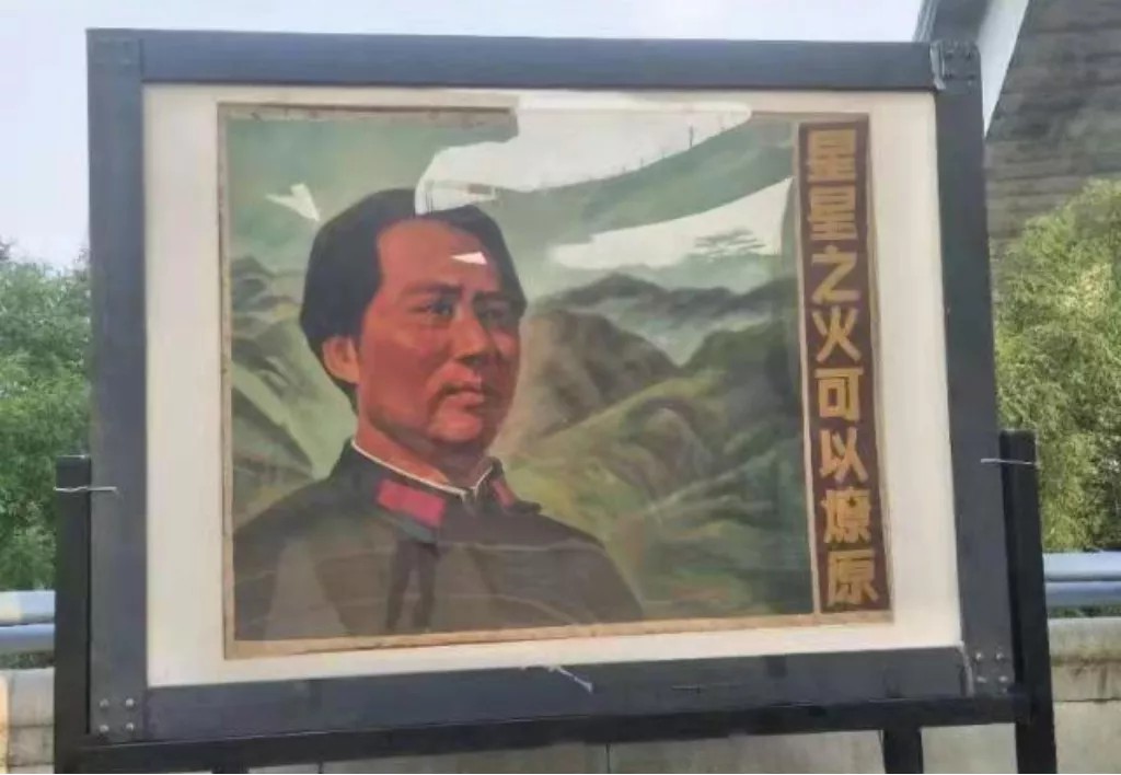 问鼎娱乐
