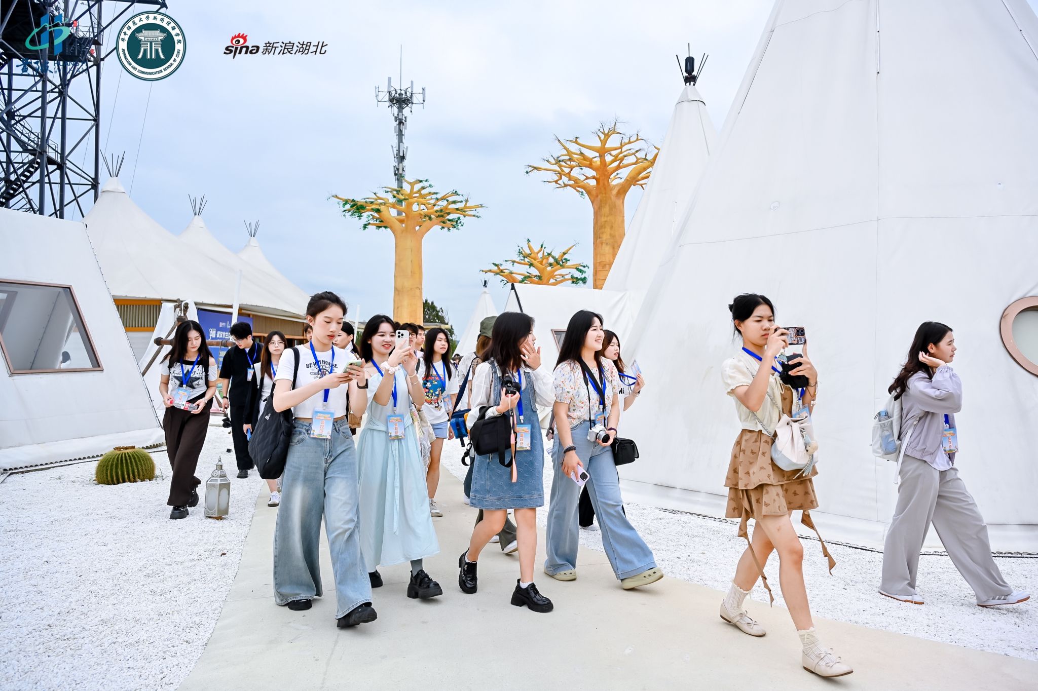 问鼎娱乐