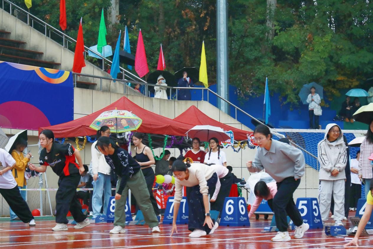 问鼎娱乐