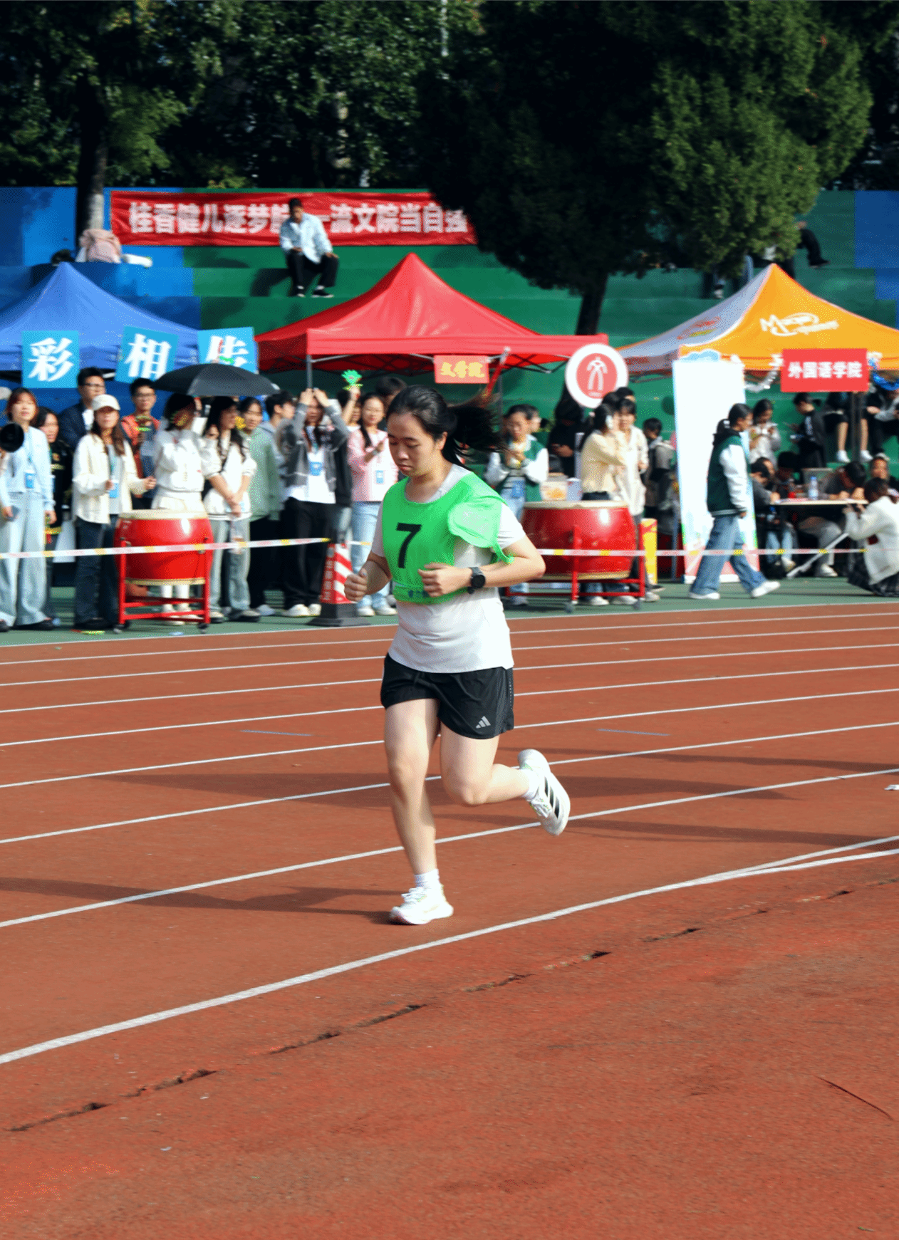 问鼎娱乐
