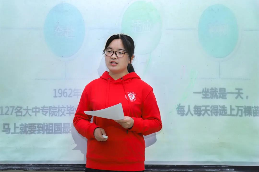 问鼎娱乐