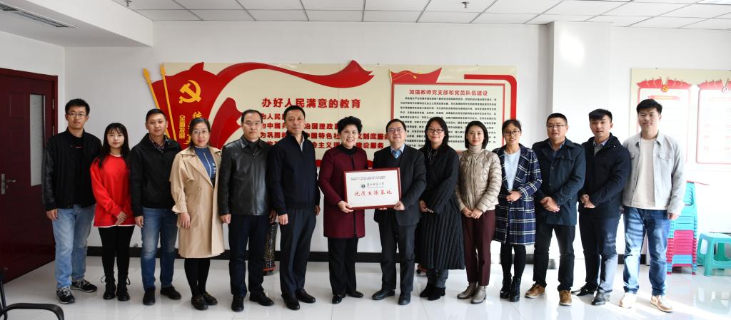 问鼎娱乐