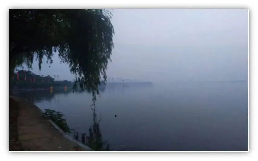 问鼎娱乐