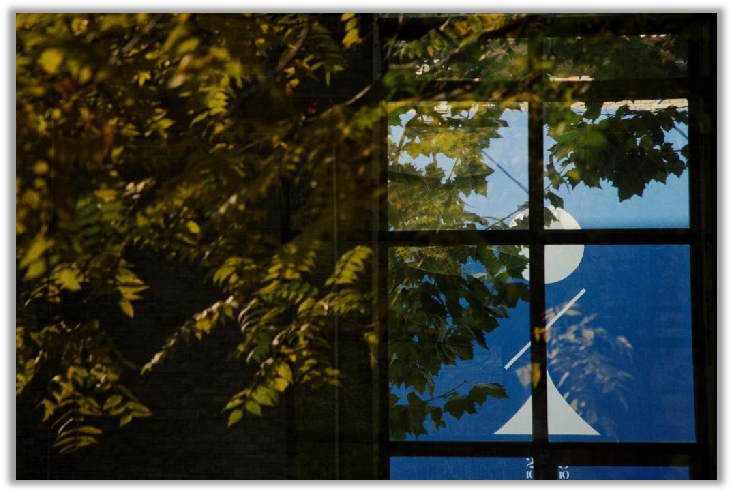 问鼎娱乐