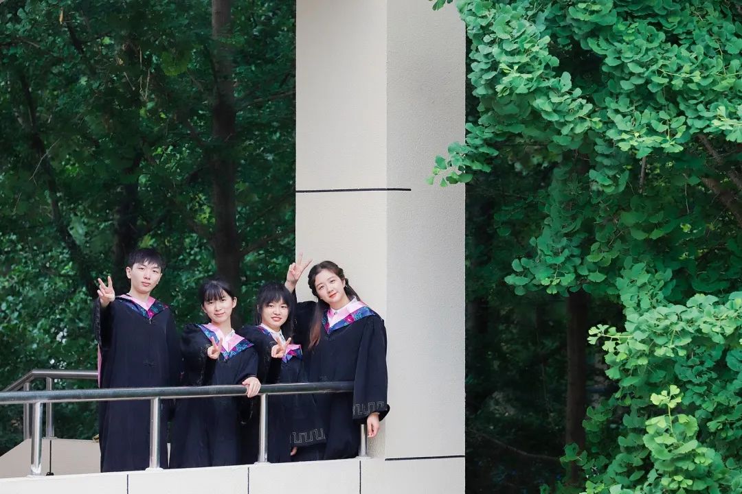 问鼎娱乐