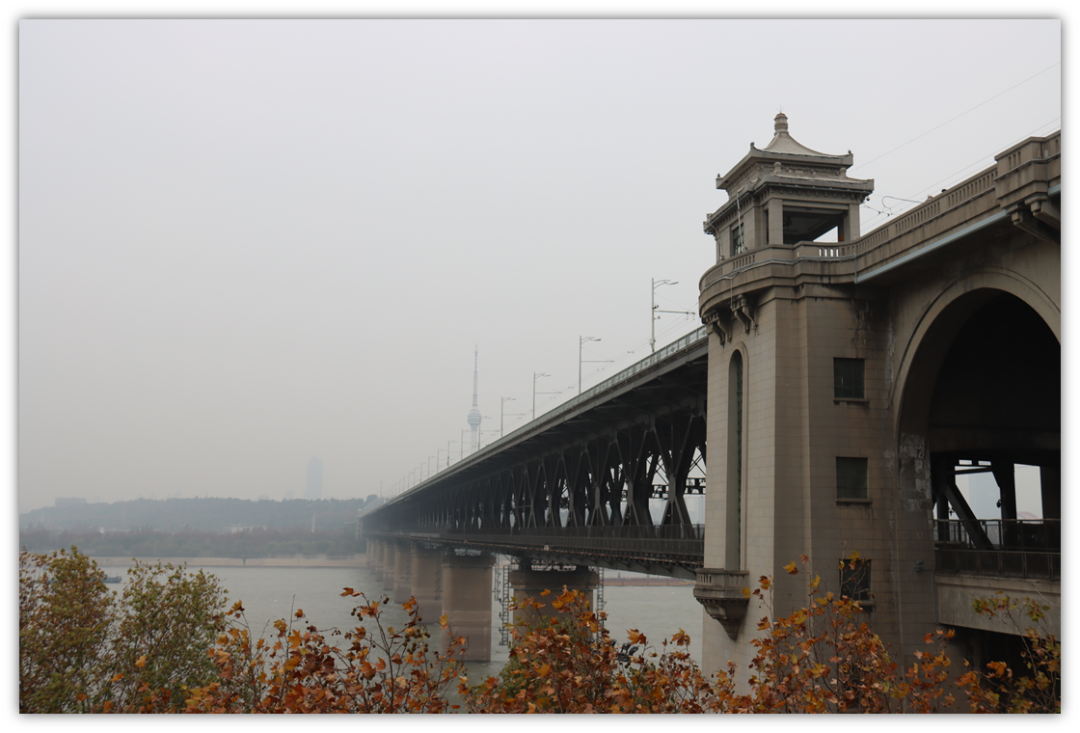 问鼎娱乐