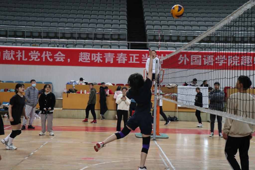 问鼎娱乐