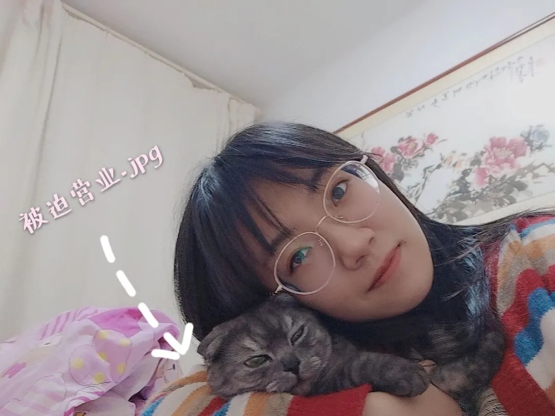问鼎娱乐