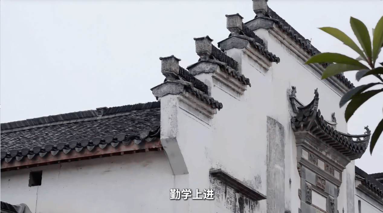 问鼎娱乐